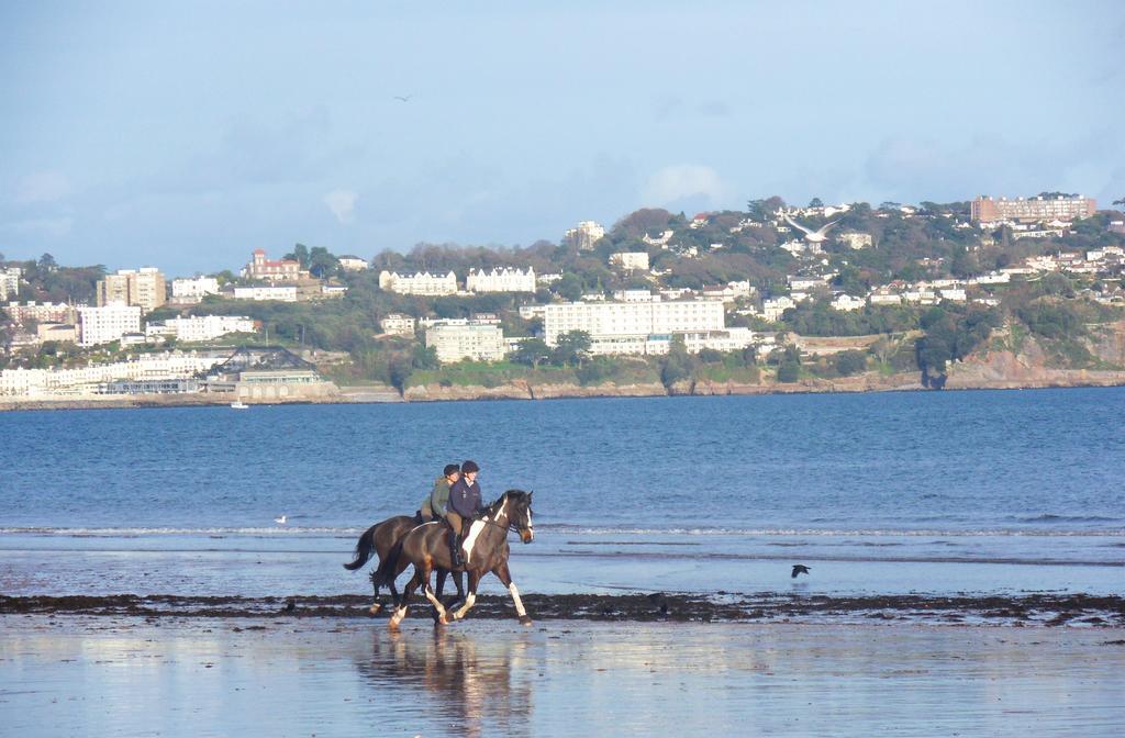 Rosemead Guest House Paignton Εξωτερικό φωτογραφία